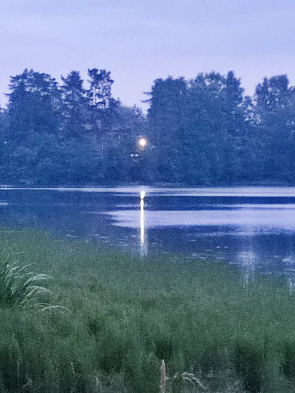 Домик в Токсово около озера