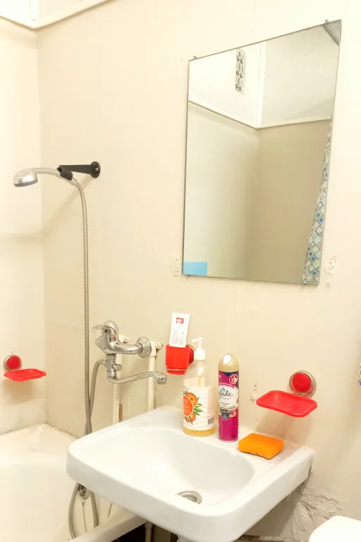 Квартира у парка Берендеевка