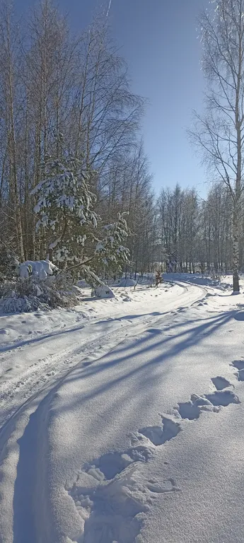 Усадьба Анатолия