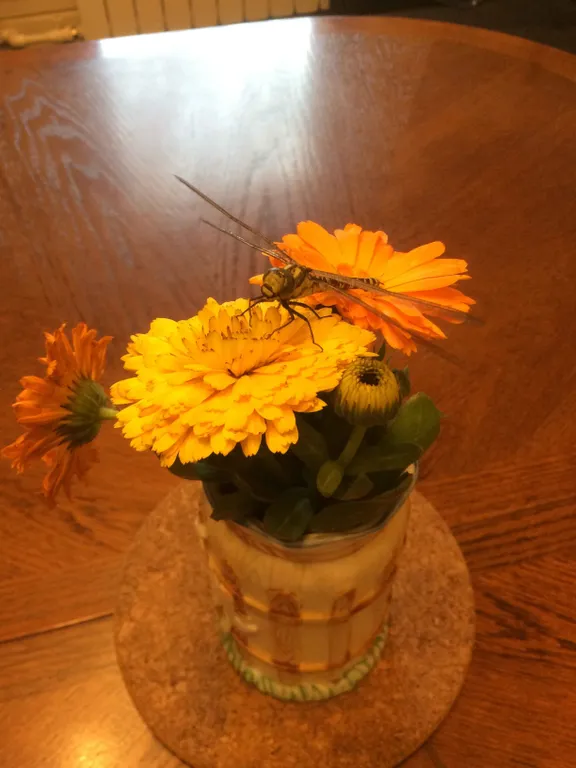 Гостевой дом Прилесье