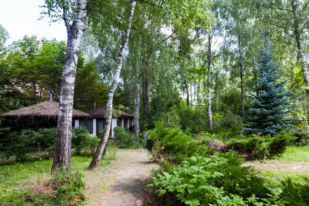 Загородный дом с бассейном, сауной и собственным лесом на участке