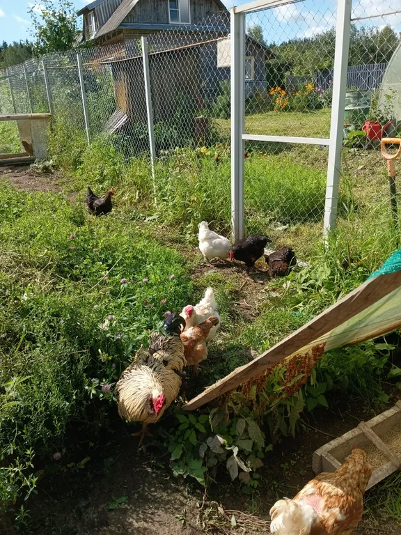 Коттедж 4-комнатный Дом — Тверецкий