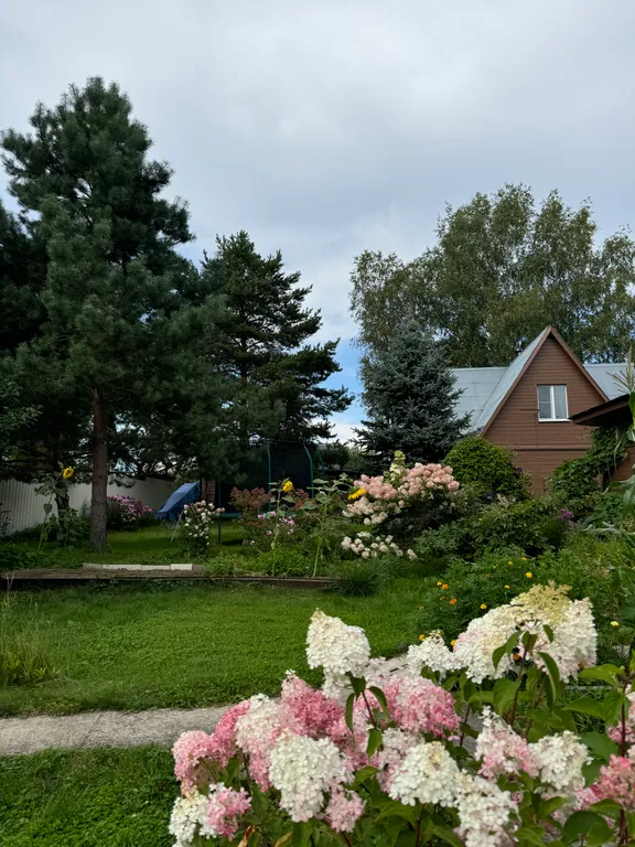 Дача художника с русской баней