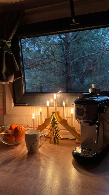 Скандинавский дом с ванной внутри и видом на лес