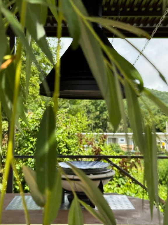 Комфортное проживание в лесу у моря