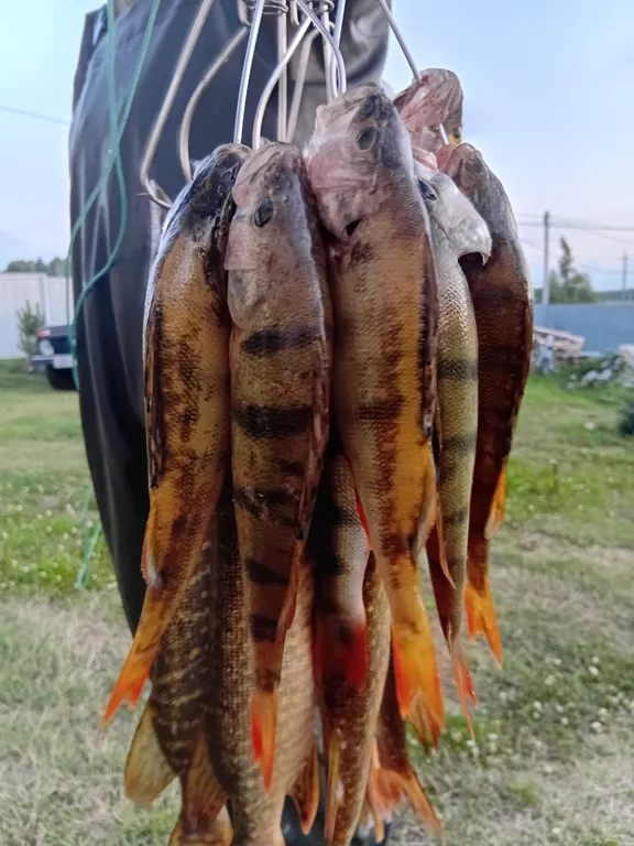 Уютный дом на берегу озера Камбулат