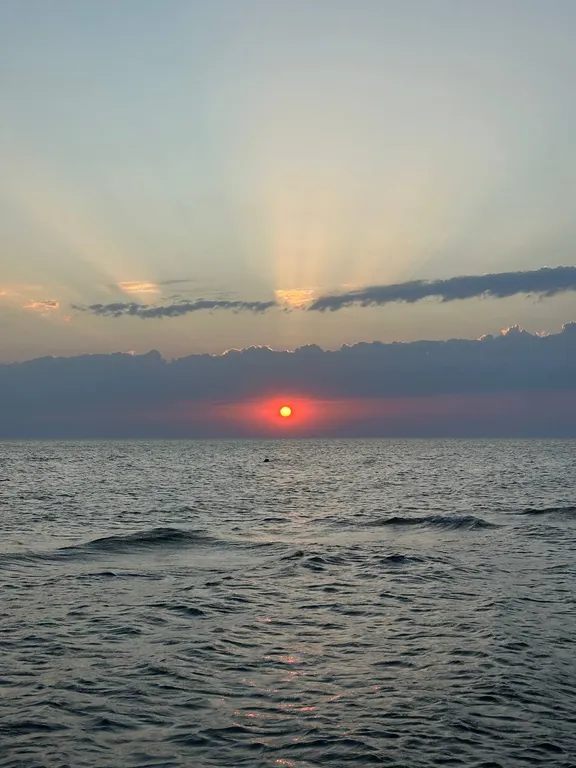 Квартира Уютная квартира на море — Пионерский