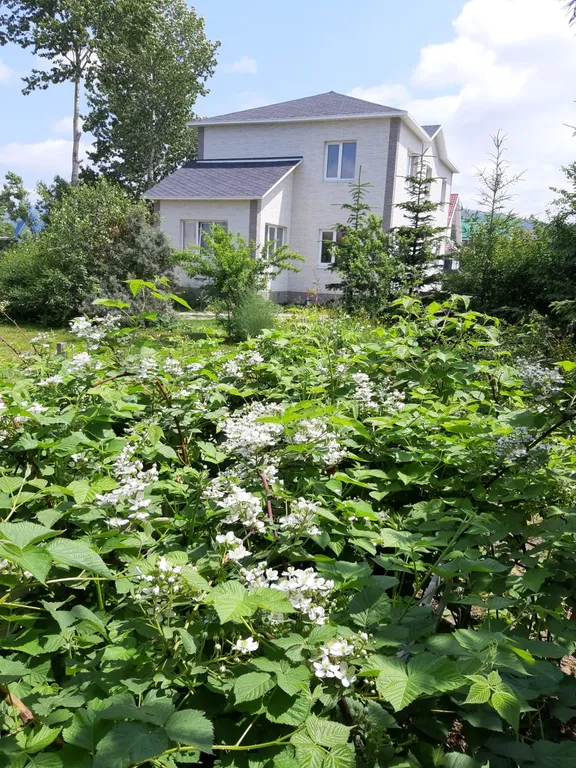 Дом в городе