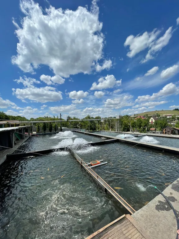 Загородный дом в черте города с озером