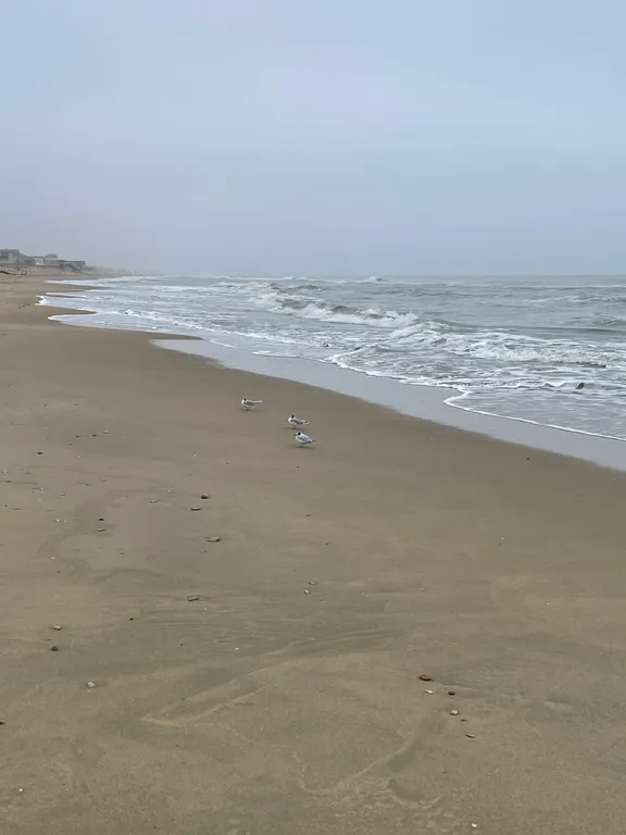 Домик у моря