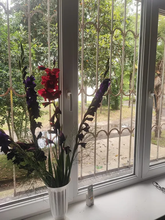 Просторная квартира у моря