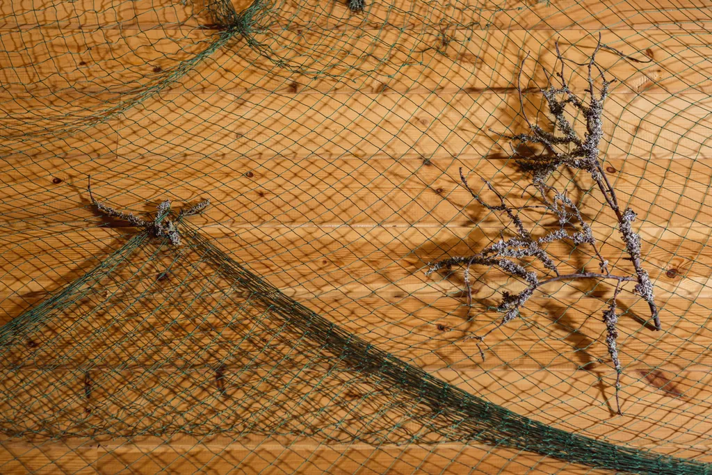 Восьмиместный коттедж на базе отдыха Денисов мыс