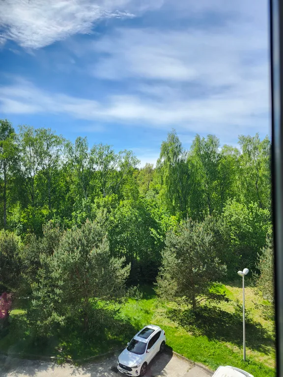 Квартира Квартира среди сосен рядом с бассейнами, банями и СПА — Светлогорск