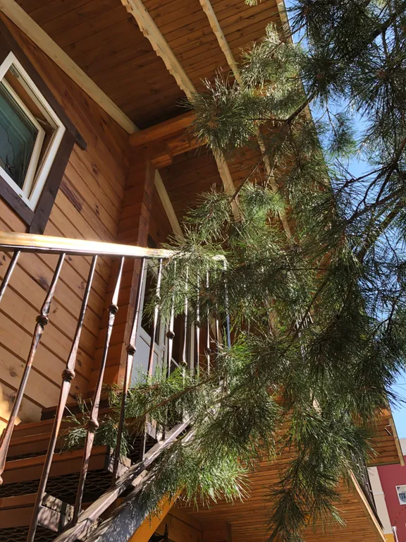 Коттедж Коттедж Уютные апартаменты с сауной — Калининград