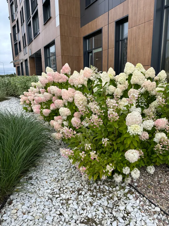 Современные и уютные апартаменты в центре рядом с парком и рекой