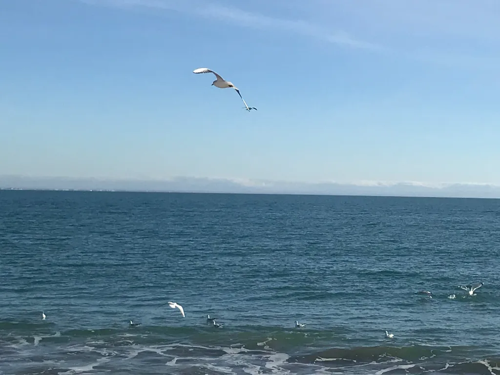 Квартира Уютная новая двухкомнатная квартира в центре города — Евпатория