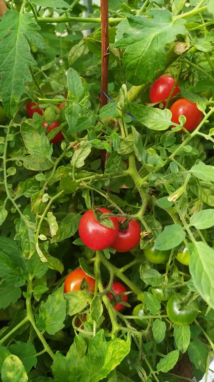 Дом под солнцем