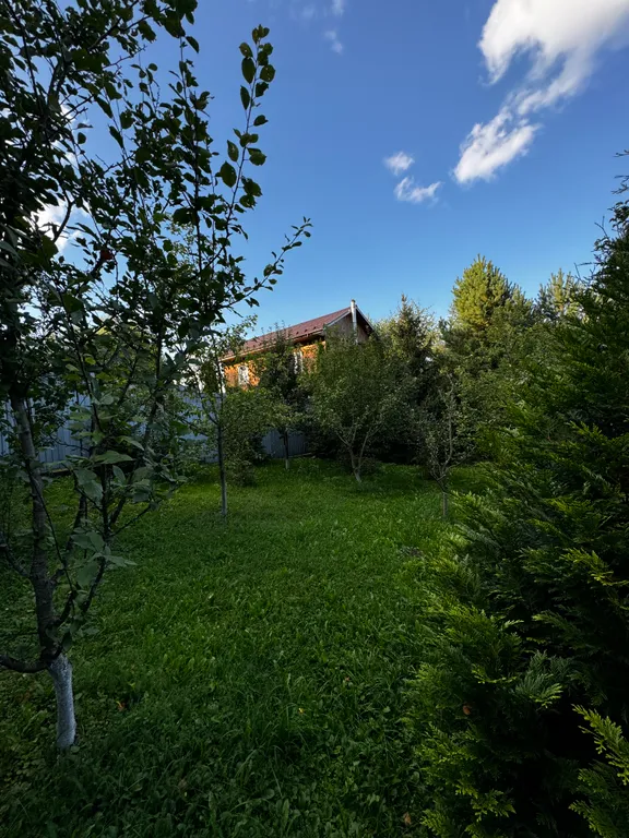 Уютное Бунгало в лесу у горнолыжного склона и пляжа Сорочаны