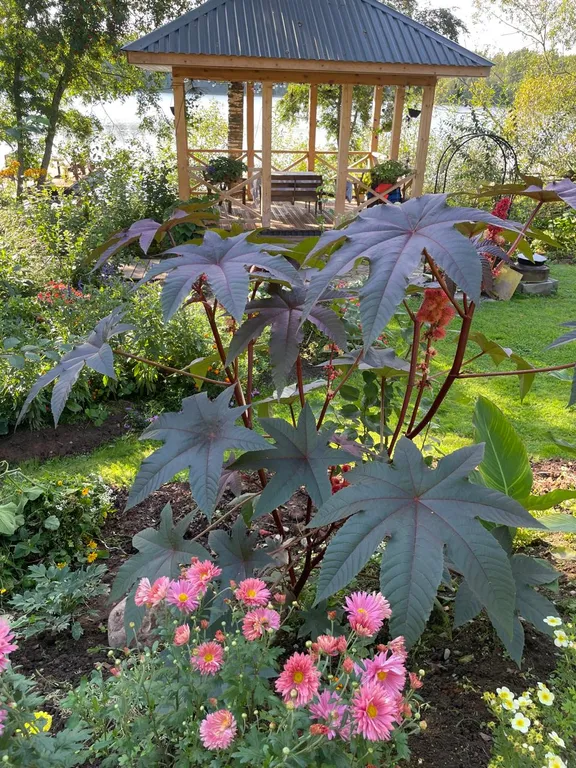 Коттедж Домик на тихом озере — Авдетово