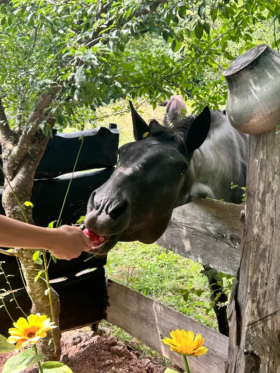 Уникальный дом-баня с собственной террасой