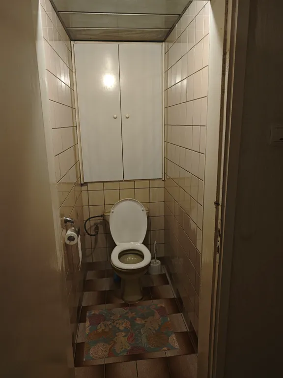 Просторная квартира с лоджией и балконом