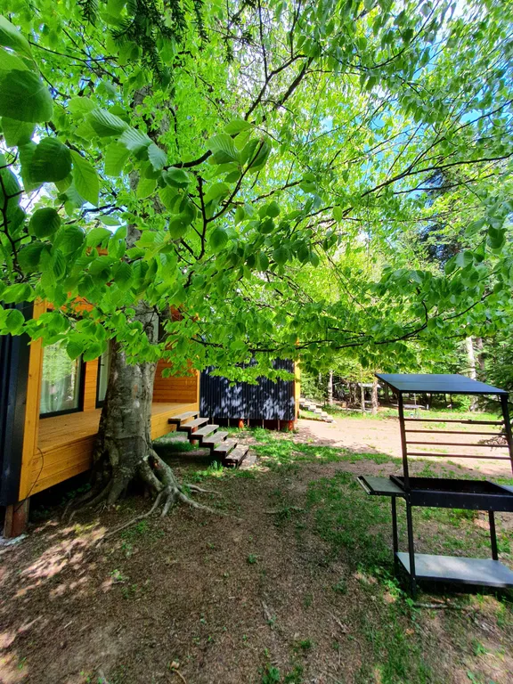 Коттедж Коттедж Шале в лесу — Архыз