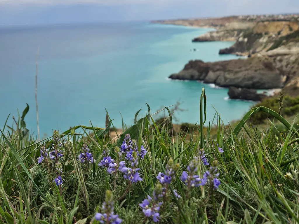 Квартира Квартира Семейный апартамент с террасой — Севастополь