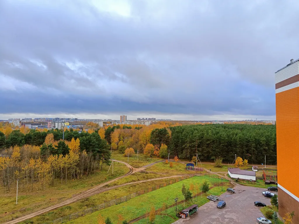 Уютная студия рядом с сосновой рощей