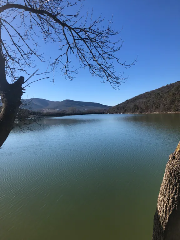 Квартира с видом на бассейн