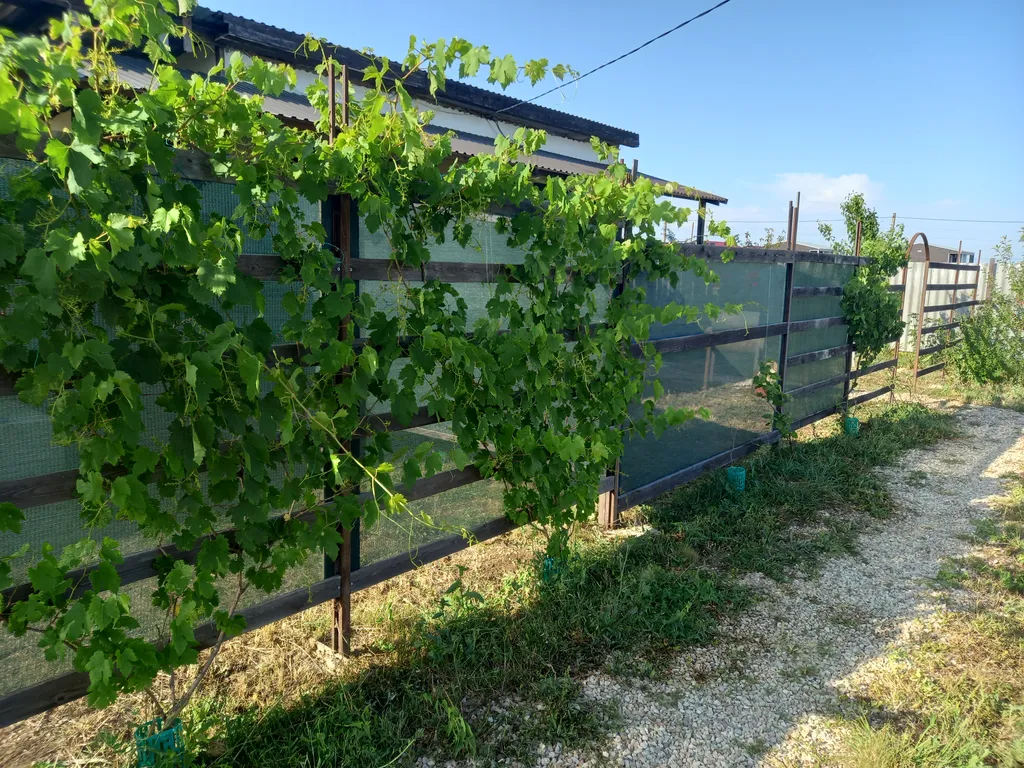 Дом посуточно