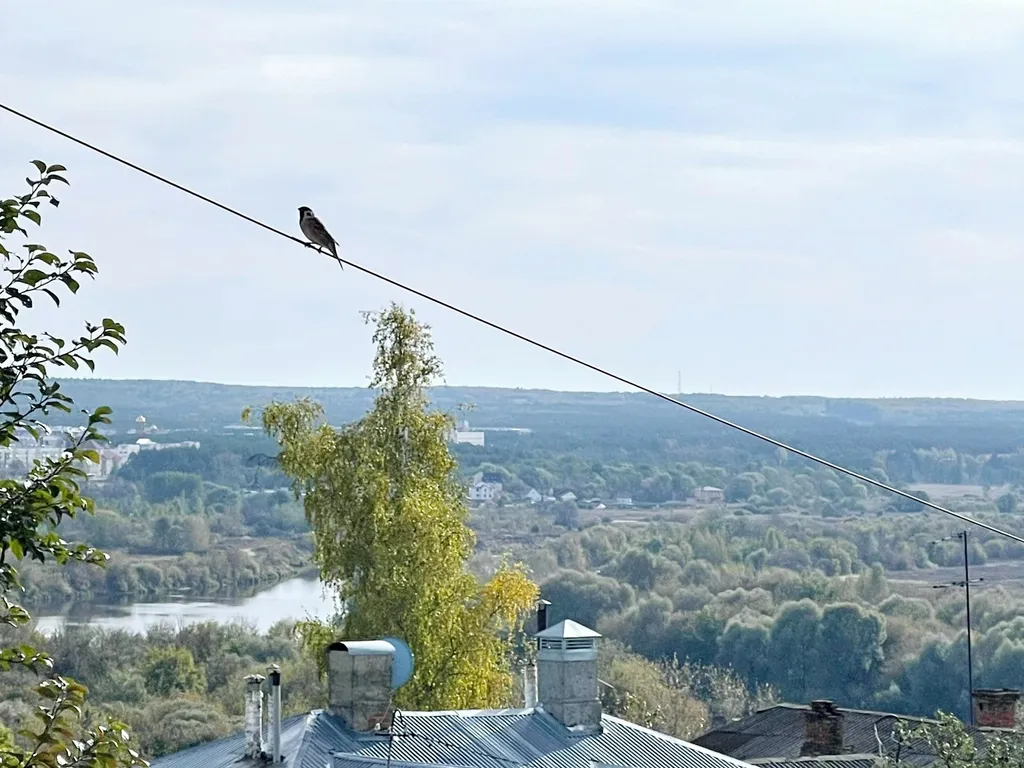 Авторские апартаменты хохлома у Золотых ворот со своей парковкой