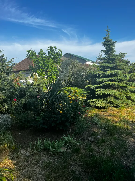 С бассейном рядом с морем