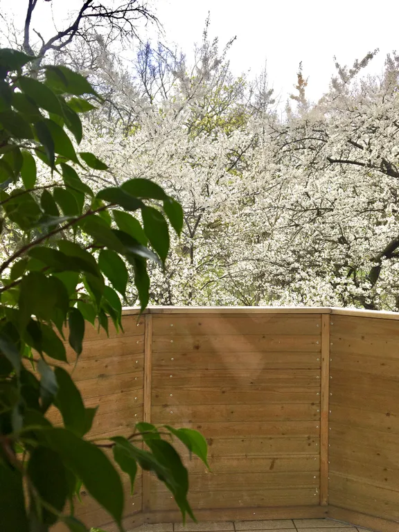 Квартира Квартира Сердце города — Калининград