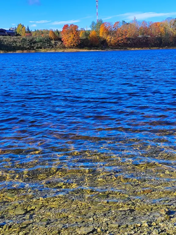 Уютный дом на берегу реки Великой