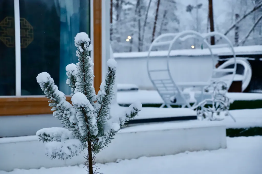 База отдыха Хэйлун Дом № 5 Шэньчжэнь вид на озера