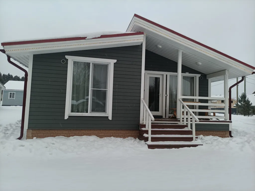 Карельский скандидомик с сауной