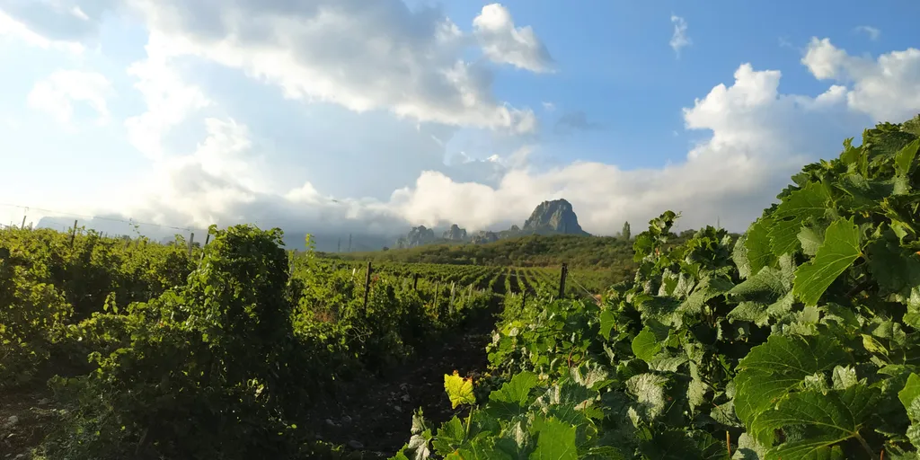 Апартаменты с видом на море и горы