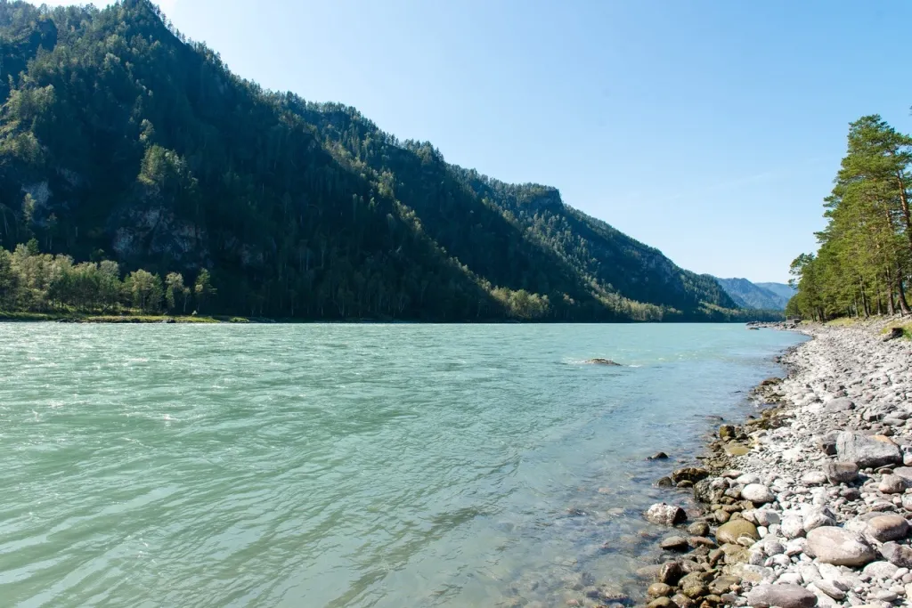 Дом на берегу реки Катунь