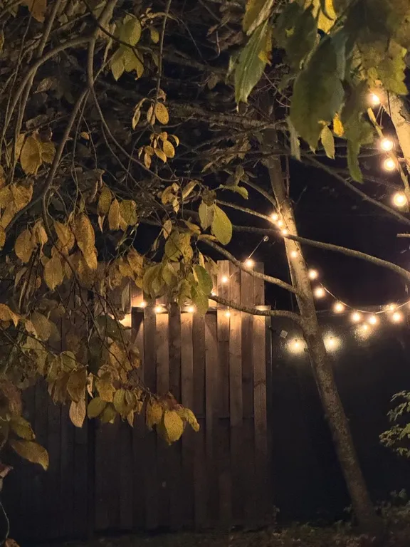 Отличный отдых рядом с курортом Игора