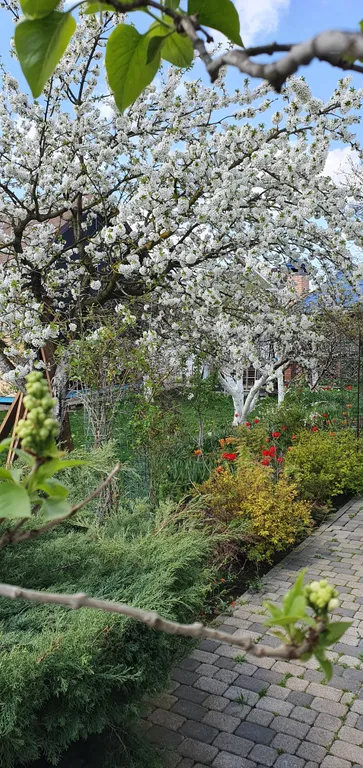 Коттедж FLIGELMUZ (Загородный Музыкальный Флигель). — Северская