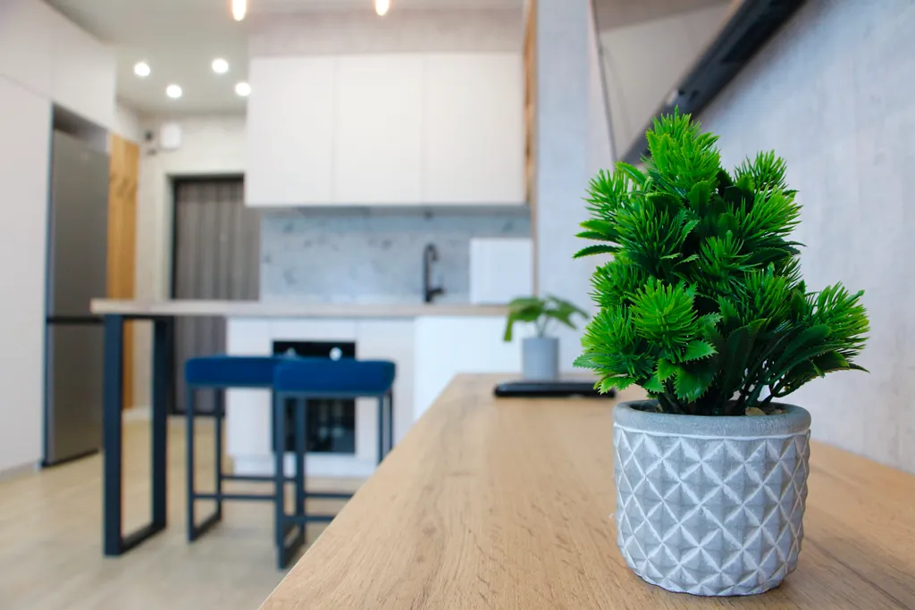 Квартира студия в центре города