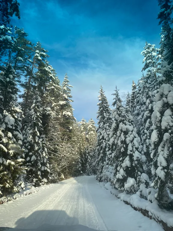 Дом на береговой линии озера селигер