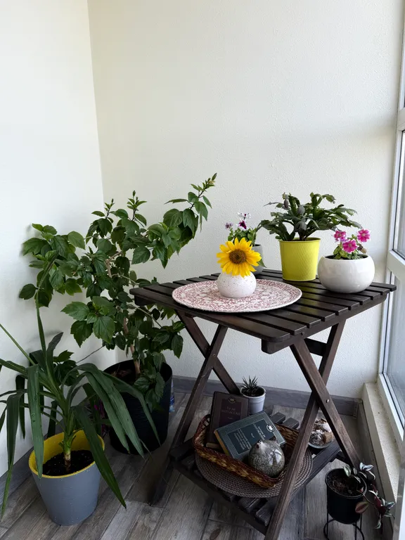 Стильная видовая студия в центре города