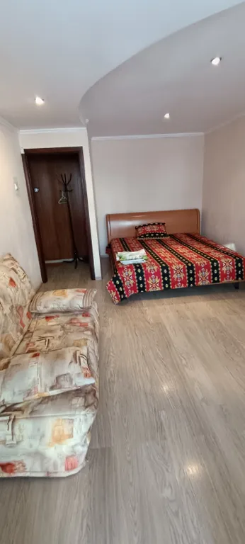 Квартира Горнолыжный курорт через дорогу — аренда посуточно в Южно-Сахалинск