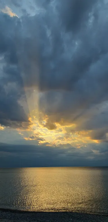 Квартира Двухкомнатная чудная квартира — Светлогорск