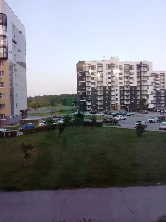 Уютная студия возле леса