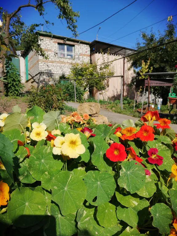 Коттедж Часть дома с парковкой и мангальной зоной рядом с парком — Кисловодск