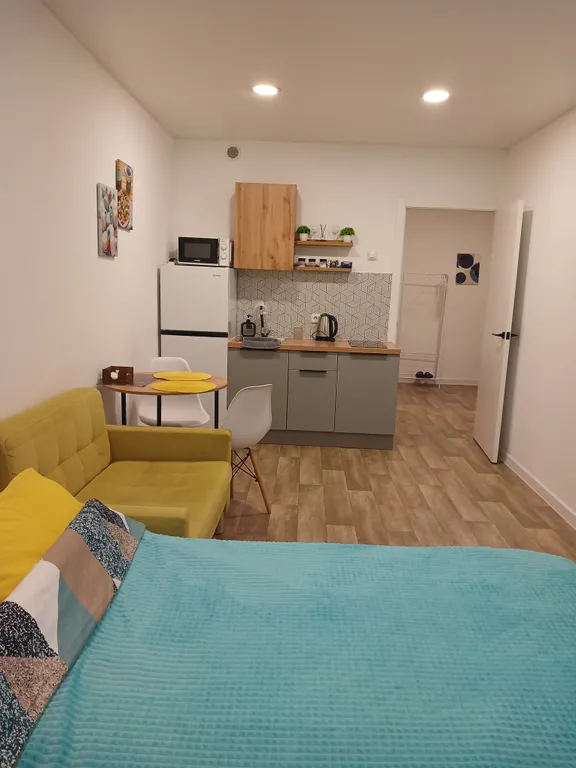 Уютная студия в центре города