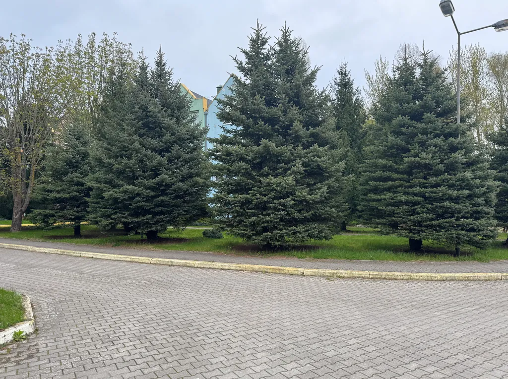 Квартира Уютная квартира в самом сердце Светлогорска — Светлогорск