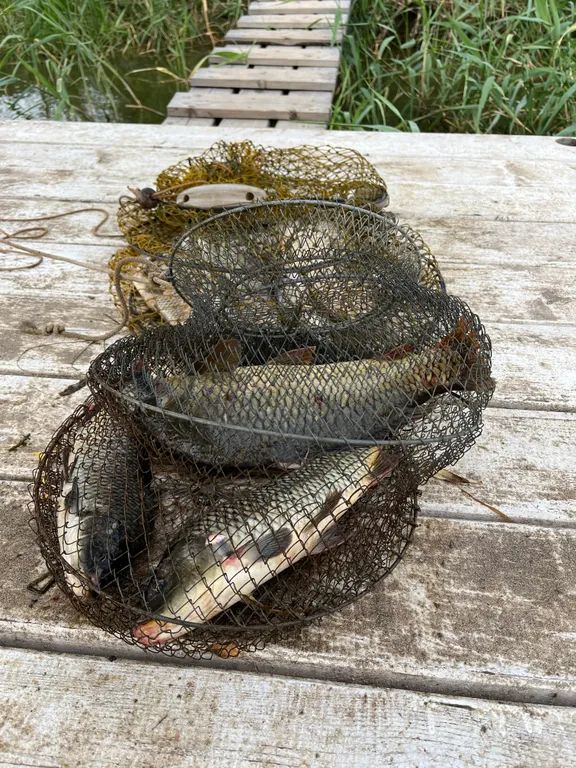 Дача Демьяна на берегу Волги